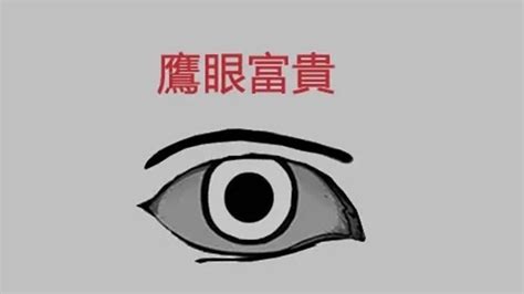 鷹眼 面相|【鷹眼面相】揭開鷹眼面相的神秘面紗：透析鋭利眼神。